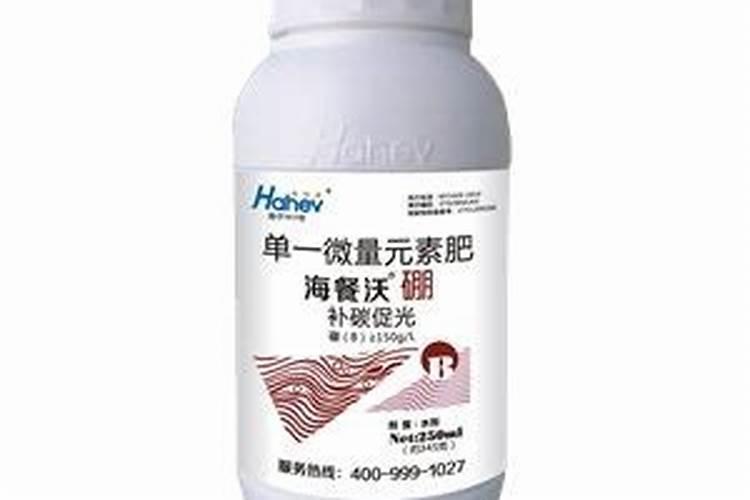 如何种植草莓树？