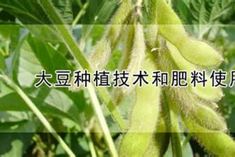 叶面肥磷酸二氢钾使用方法和使用的时候注意事项