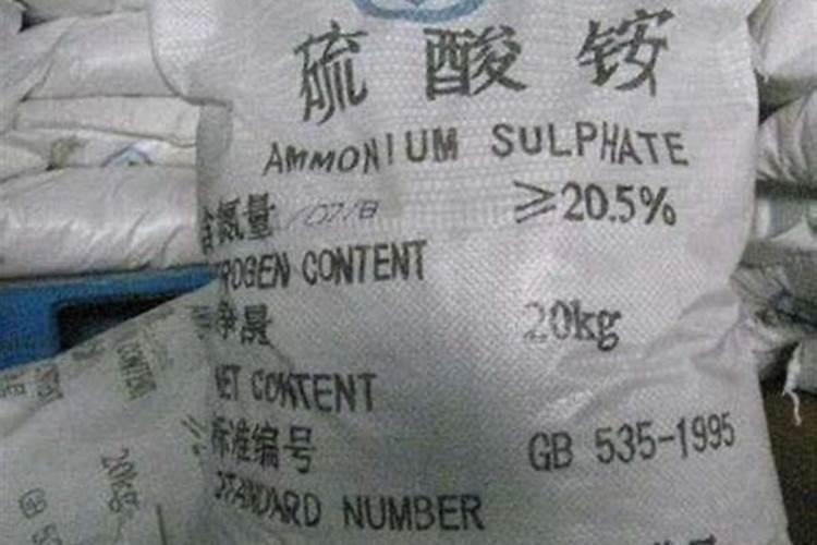 怎么给花补氮肥 兑水对着叶子喷补肥料