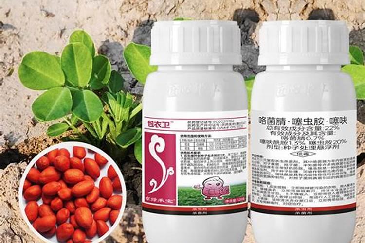 兰花冬天施什么肥最好