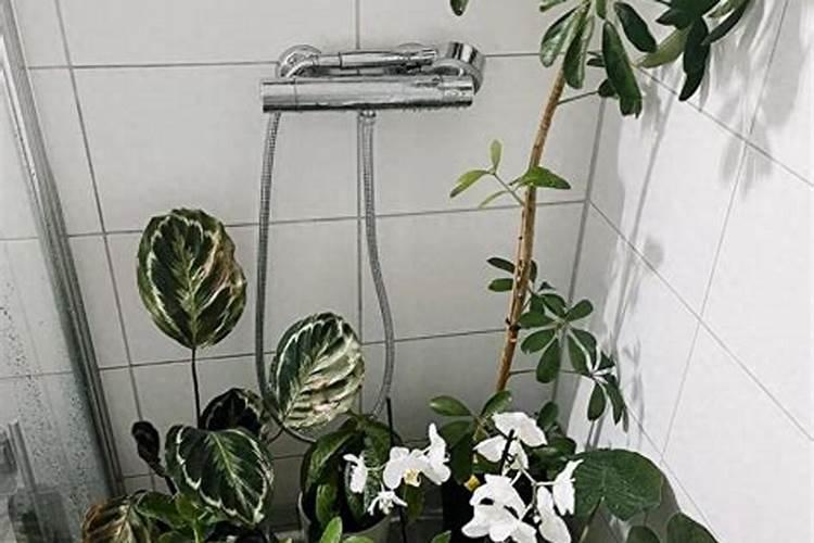 有机肥企业是否属于化工类企业