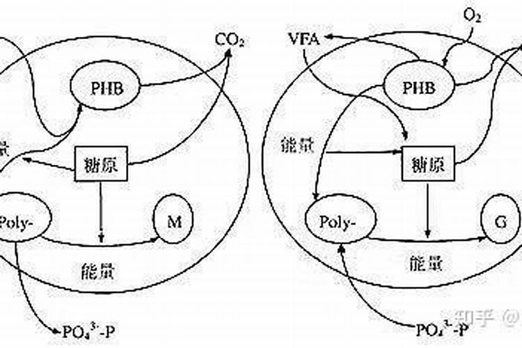 过磷酸钙的使用方法有哪些