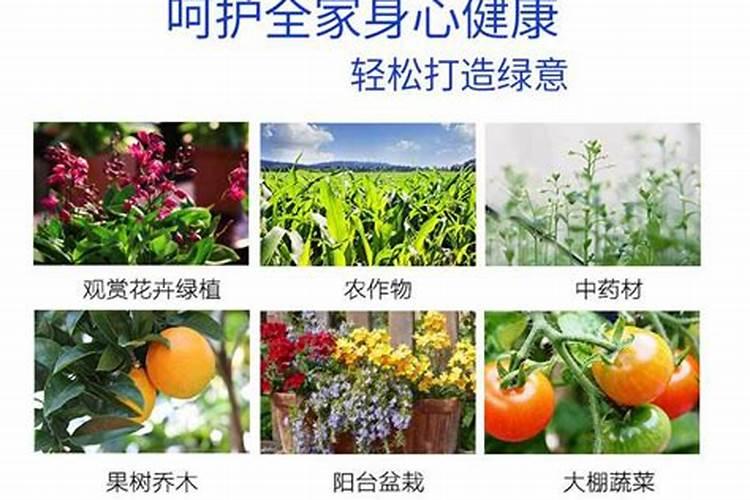 肽能氮有什么作用