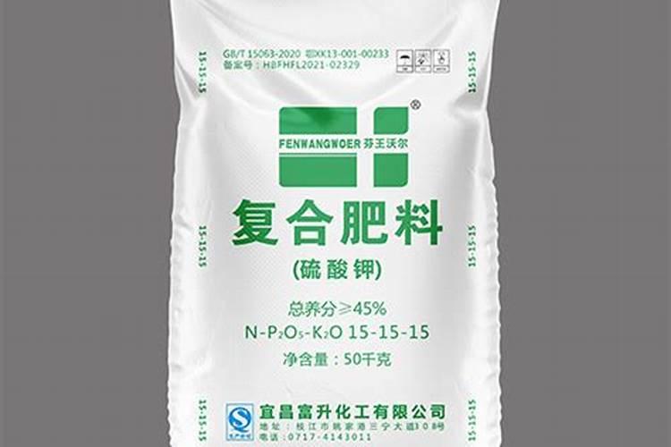 月季应该怎么施肥养护才能冒出更多的大笋芽