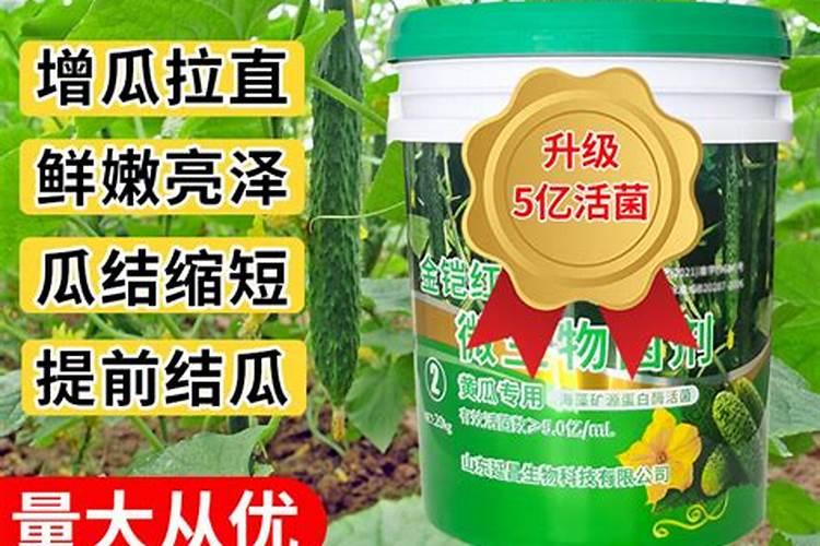 葫芦浇什么肥料合适