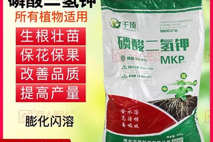 水溶肥加水溶化后能放多久