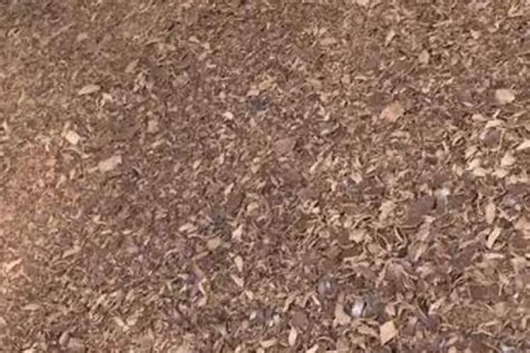 葫芦怎么施肥