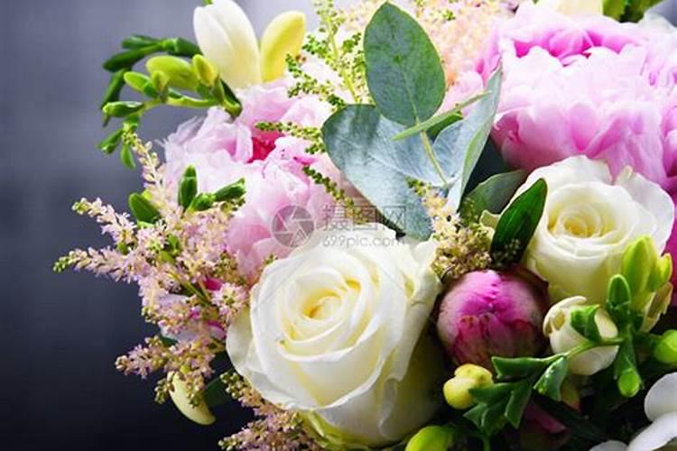 鲜切花洋牡丹怎么养才长得好 养殖鲜切花洋牡丹的方法