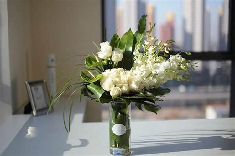 冬青鲜切花如何养护？