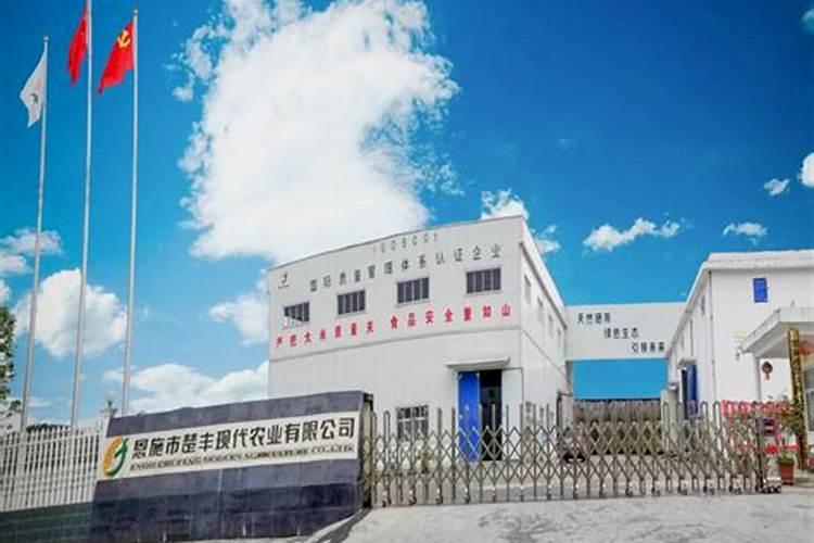 湖北有哪些特产茶叶？