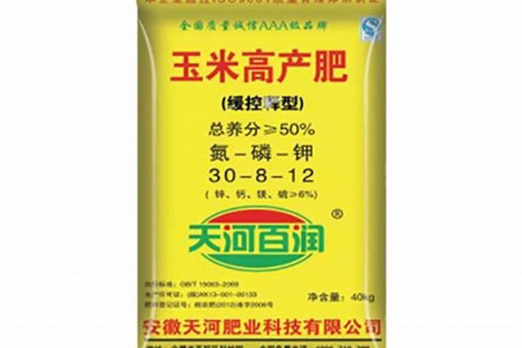 榉树移植养护方案