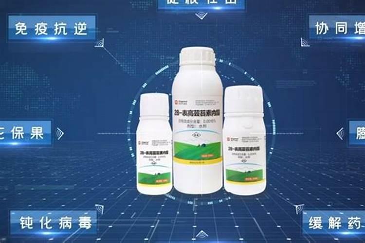 甜瓜为什么裂瓜,孙子蔓瓜能裂吗？