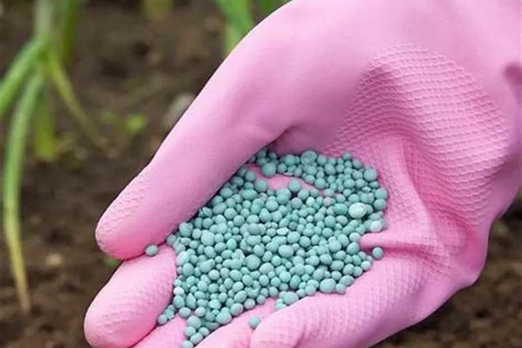 葫芦追肥用什么肥料