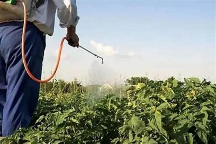 钾肥能和农药一起使用吗