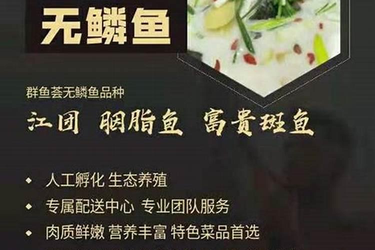 玉米专用肥哪个品牌好