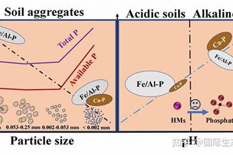 水泡羊粪几天可以发酵