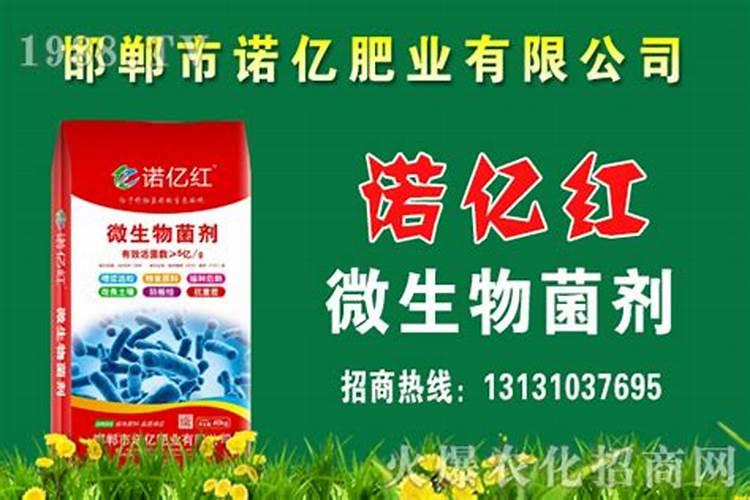 菌肥一亩用多少斤