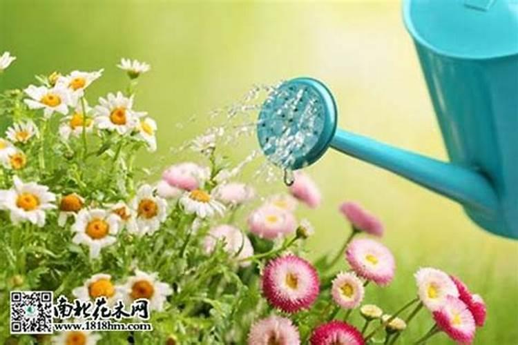 打药和施肥能同时进行吗