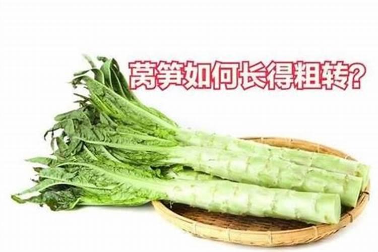 葫芦的施肥方法