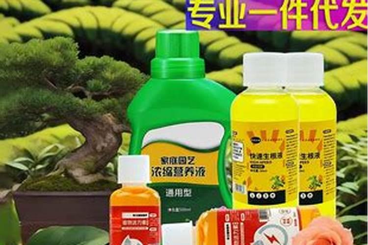 花卉用什么肥叶子油亮 叶片发黄怎么应对