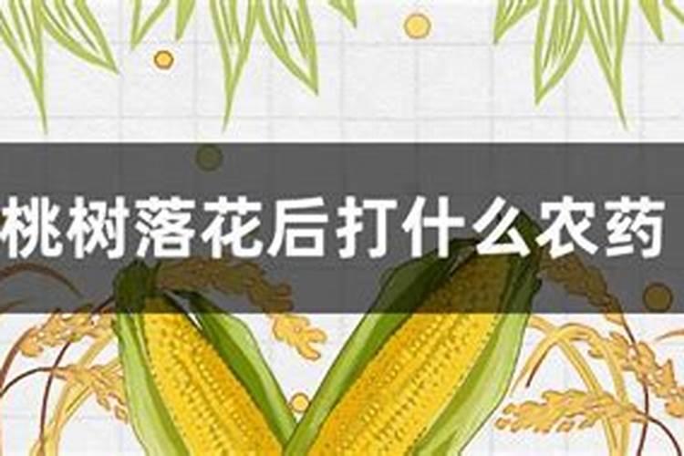 桃树花前花后打药技巧桃树花前花后打药技巧有哪些