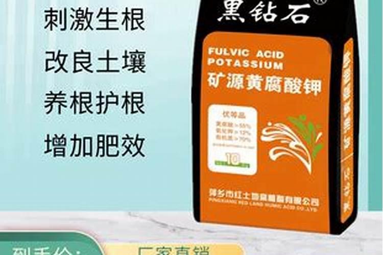 发财树如何浇水施肥最理想