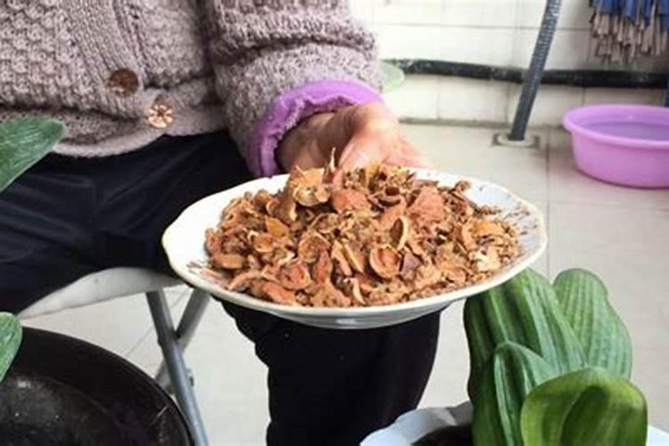 核桃用什么肥料