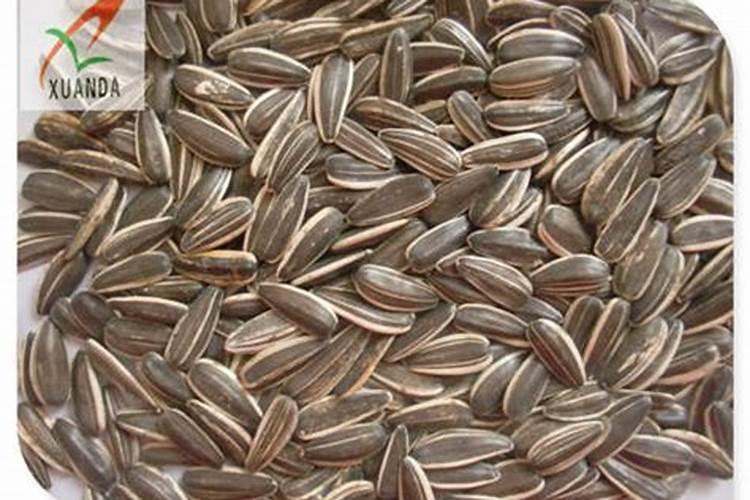 sh363葵花是美葵吗