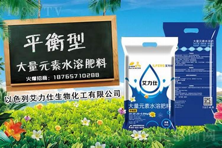 桉树肥料哪个牌子好速生桉树施哪种肥最好速生桉树肥料