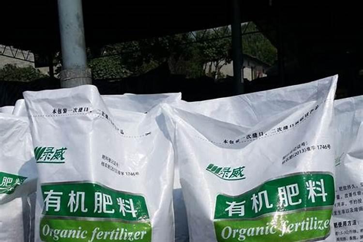 我在广西柳州该种什么草药？