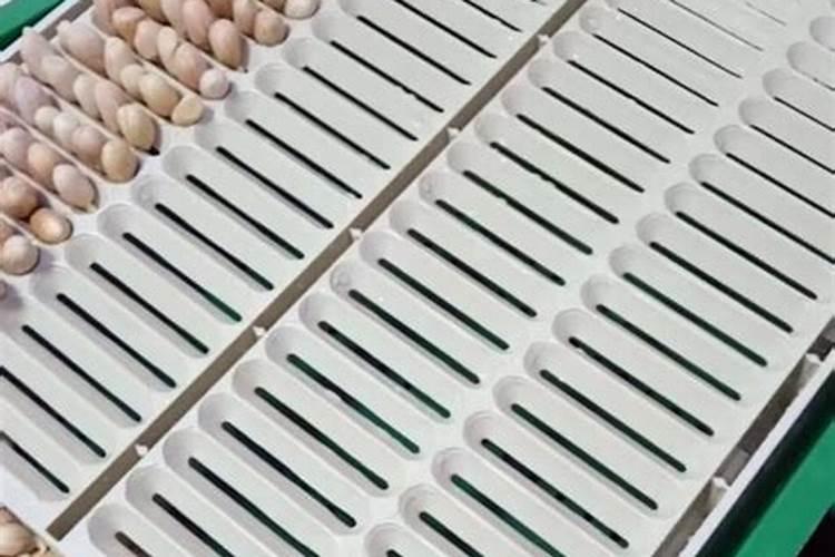 硝酸铵钙在草莓上什么时候用