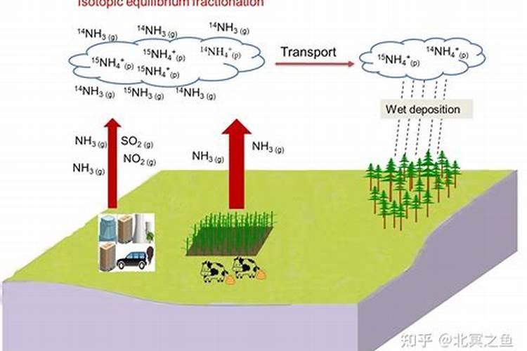 氮肥是什么肥料