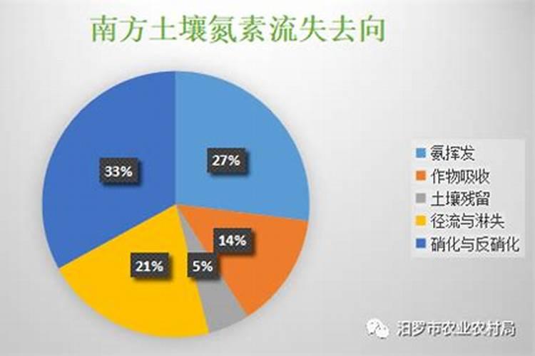 1000亩向日葵能赚多少钱