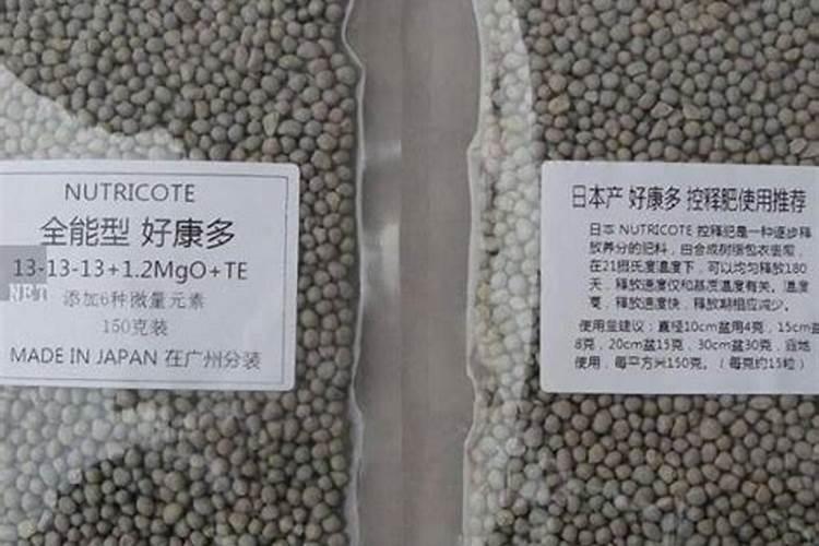 妃子笑荔枝免疏花技术