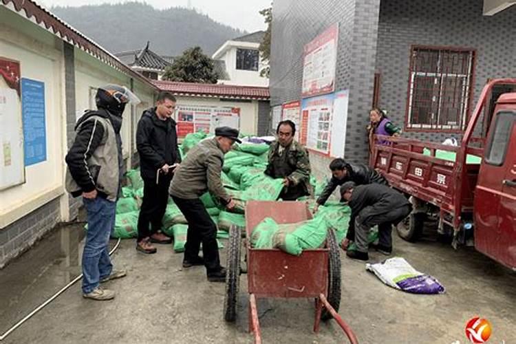 油菜硼肥的最佳使用时期和用量