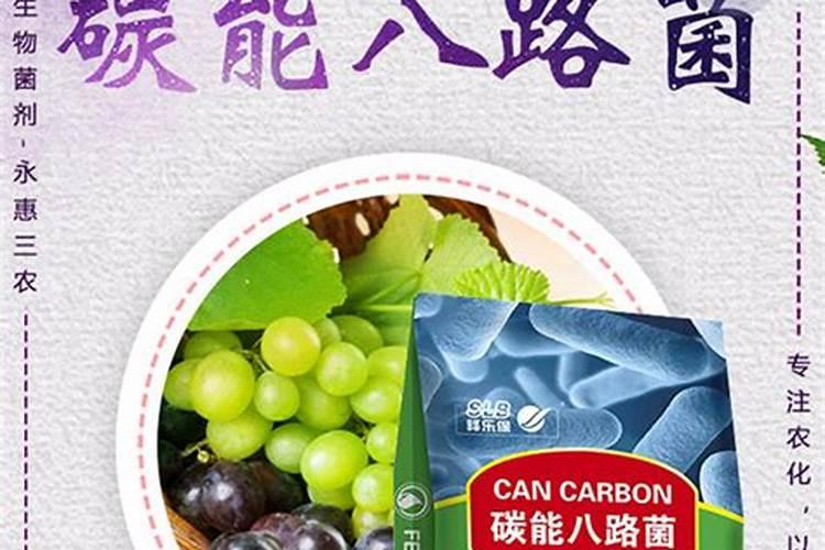 家里养花缺氮怎么办 家里养花缺氮如何解决