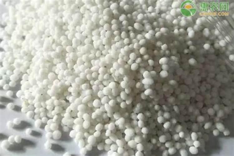 盐碱地土壤的植物喷施什么