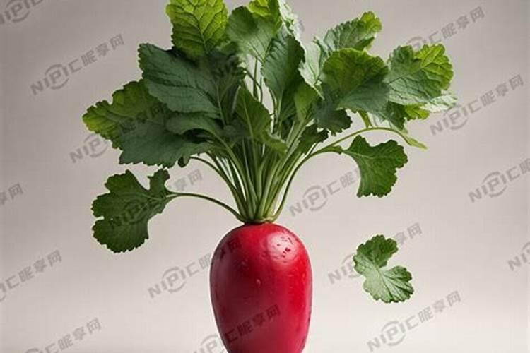 洗菜时冲着洗干净,还是泡着洗干净？