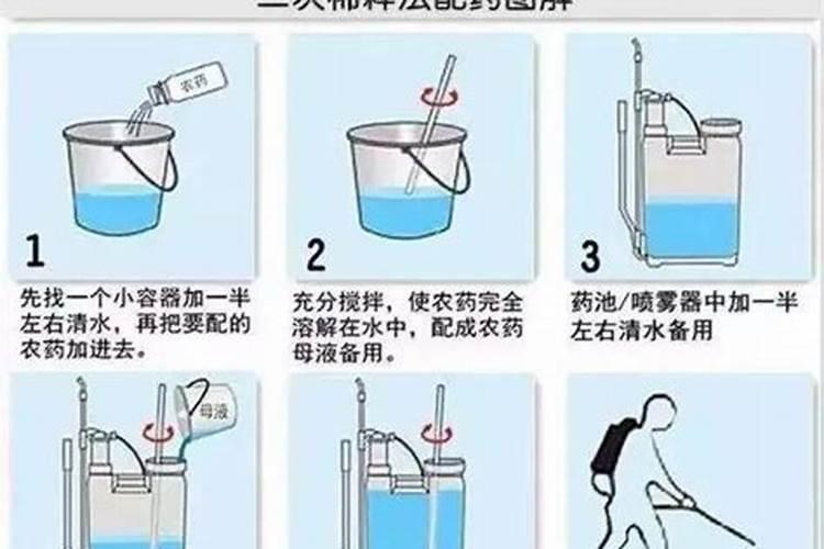 什么叫天狼月季啊