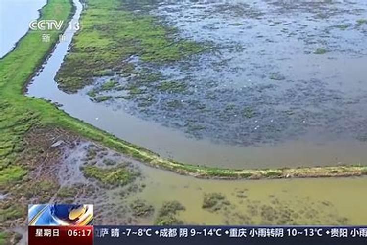 磷酸二氢钾控旺用多大浓度