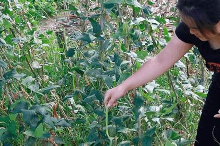 肥水瘦水怎么钓鱼