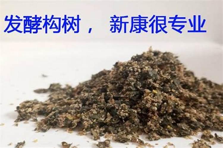 树叶可以发酵做肥料