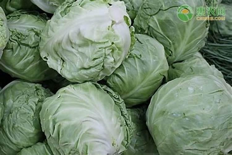 巧棵力颗粒水溶肥一袋都是多少斤呀？有没有小包装