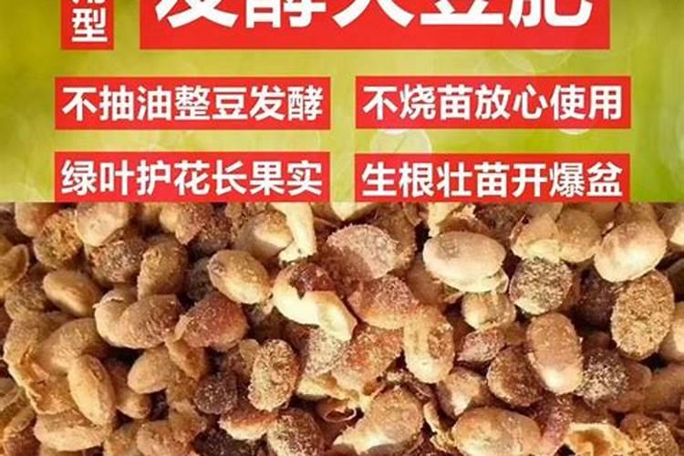 黄豆发酵后是磷钾肥吗