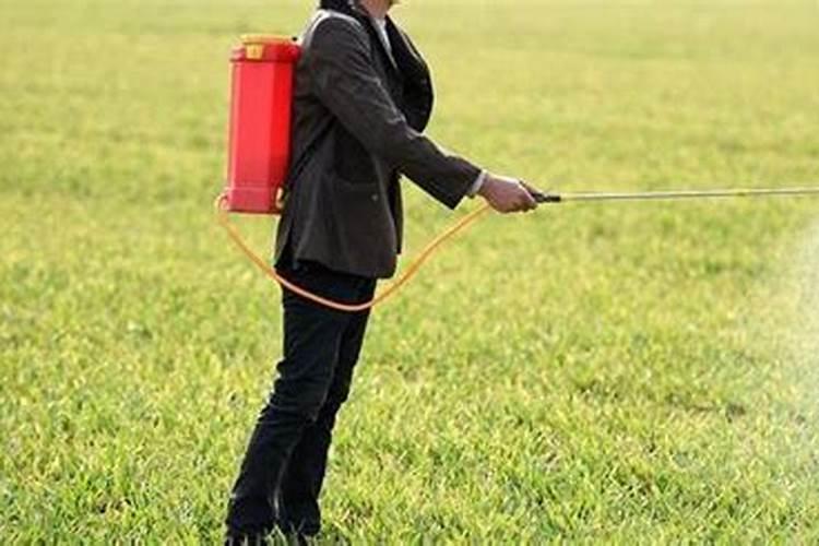 西兰花如何施肥 西兰花怎么施肥好