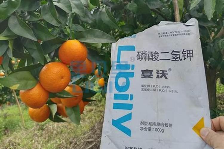 国内比较好水溶肥厂家有哪些