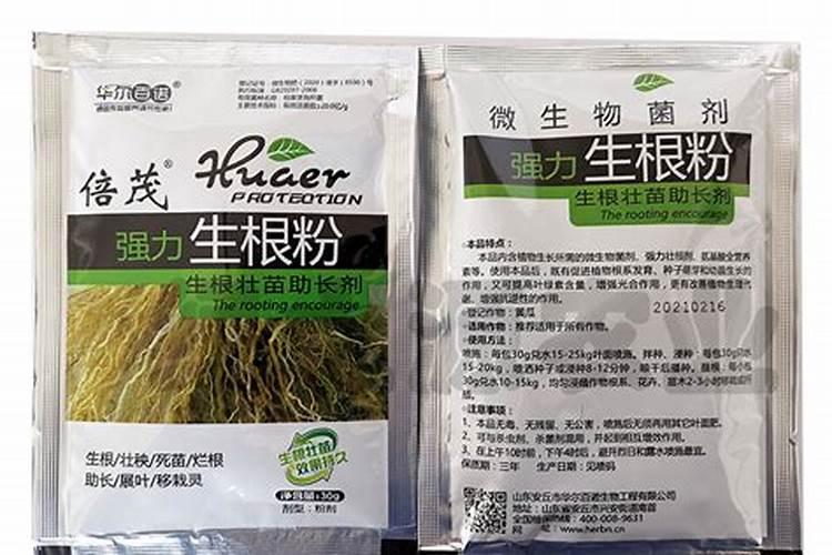 叶面肥和生根粉能不能一起用