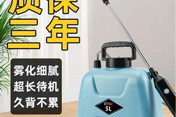 一帆风顺叶片表面可以喷土豆水吗？