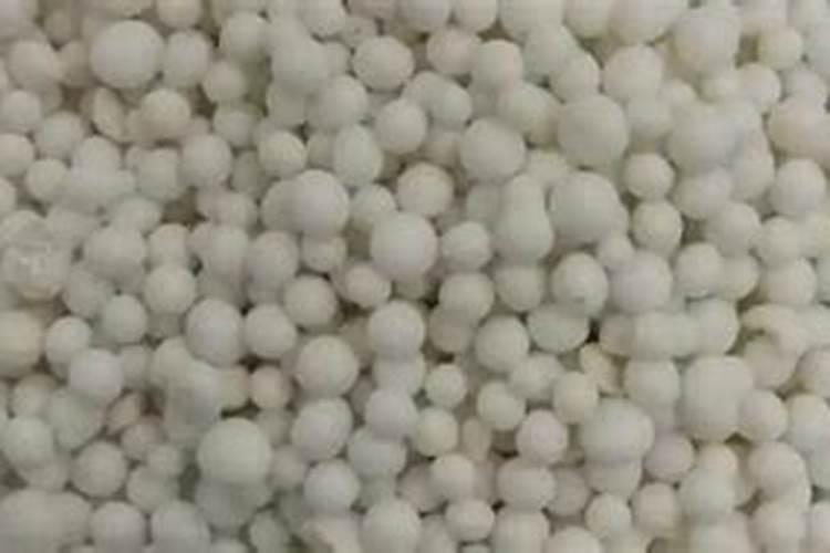 水溶肥干施在土里有效果吗？