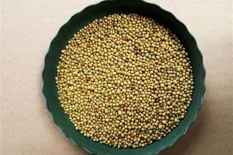 养蝴蝶兰要怎么施肥？两种肥料交替使用